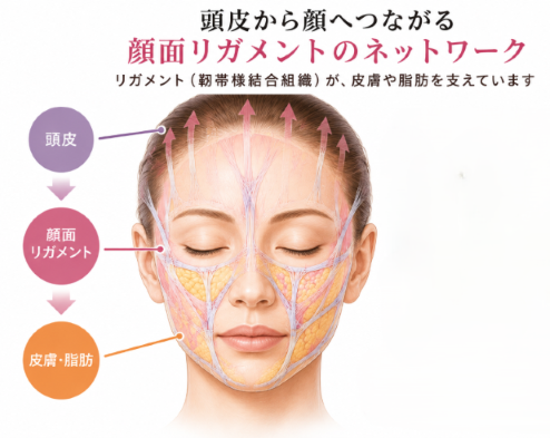 ブログイメージ