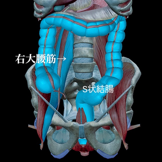 ブログイメージ