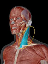 ブログイメージ