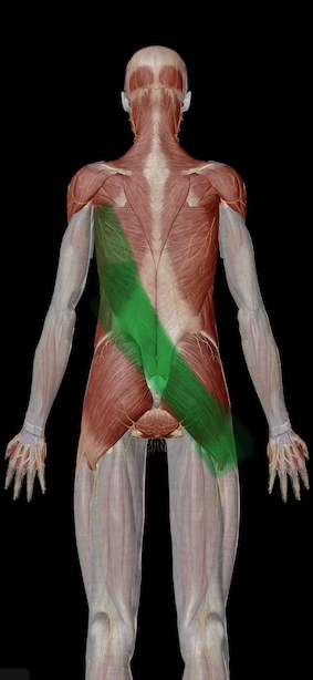 ブログイメージ