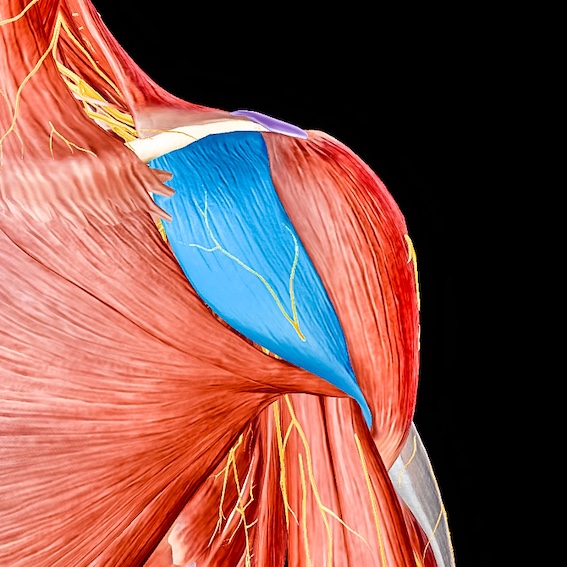 ブログイメージ